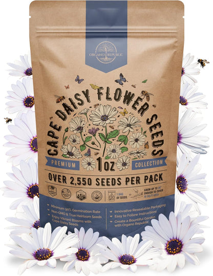 Cape Daisy Flower Seeds Pack 1 oz - Over 2,550 Non-GMO Heirloom Cape Daisy Seeds for Planting