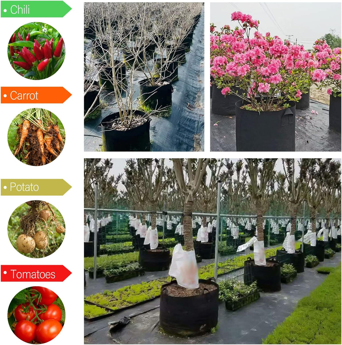 12 Pack Grow Bags 5 Gallon, 300G Heavy Duty Thickened Non-Woven Plant Bag Plant Fabric Pots with