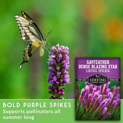 Survival Garden Seeds - Dense Blazing Star (Liatris spicata) | Gayfeather | Prairie Feather | North