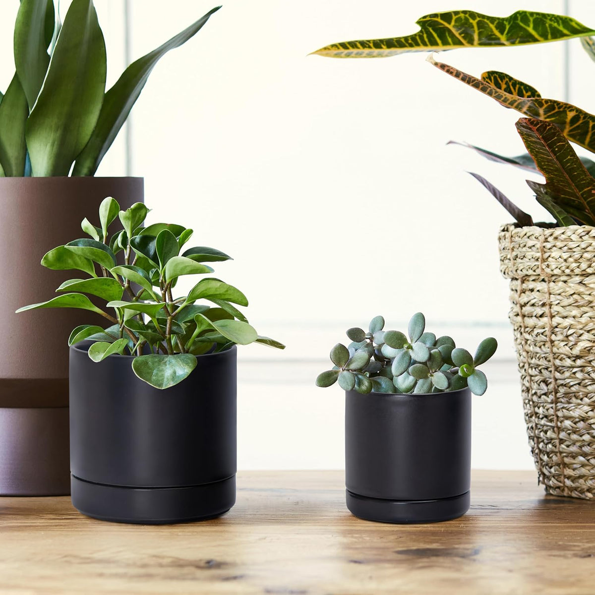 D'vine Dev 3.5 Inch & 4.7 Inch Ceramic Planter Pots for Plants with Drainage Hole and Saucer