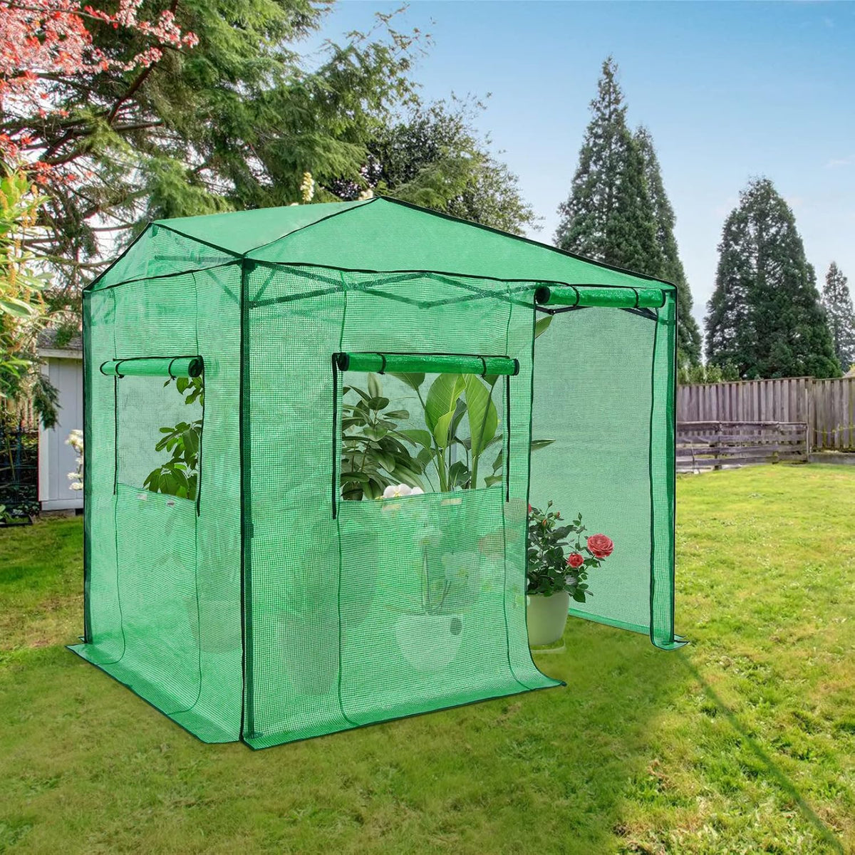 EAGLE PEAK Instant Pop-up Greenhouse, Indoor Outdoor Plant Gardening Green House, Roll-Up Zipper