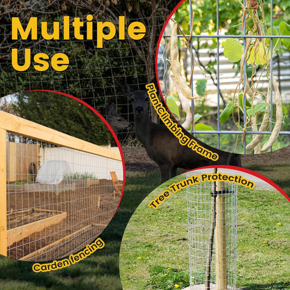 Welded Wire Fence, 5Ft x 50Ft 15Ga Chicken Wire Fencing, Garden Border Fencing Roll Metal Wire Mesh