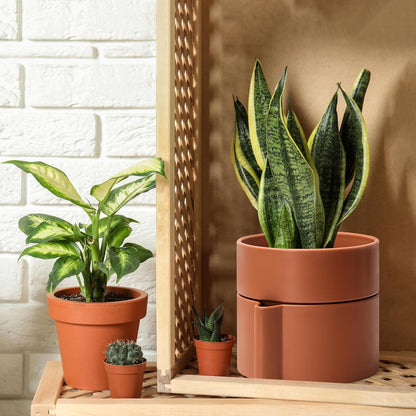 8 Inch Self-Watering Planter Pot with Terracotta Insert, Deep Water Reservoir, and Ceramic-Alike