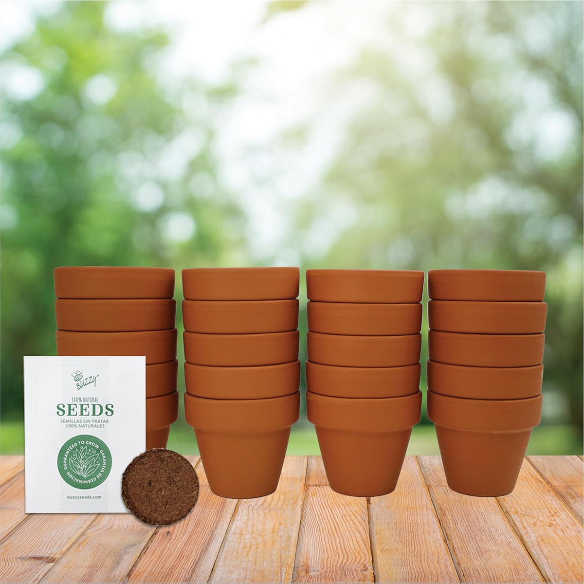 BUZZY Seeds Gardening Kits|Sunflower Seeds to Plant|Flower Starter Kit for Kids & Adults|Terracotta