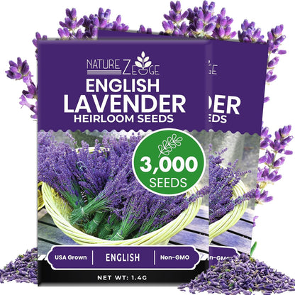 NatureZ Edge 3000 English Lavender Seeds for Planting Outdoors or Indoors, 90% Germination, to Give