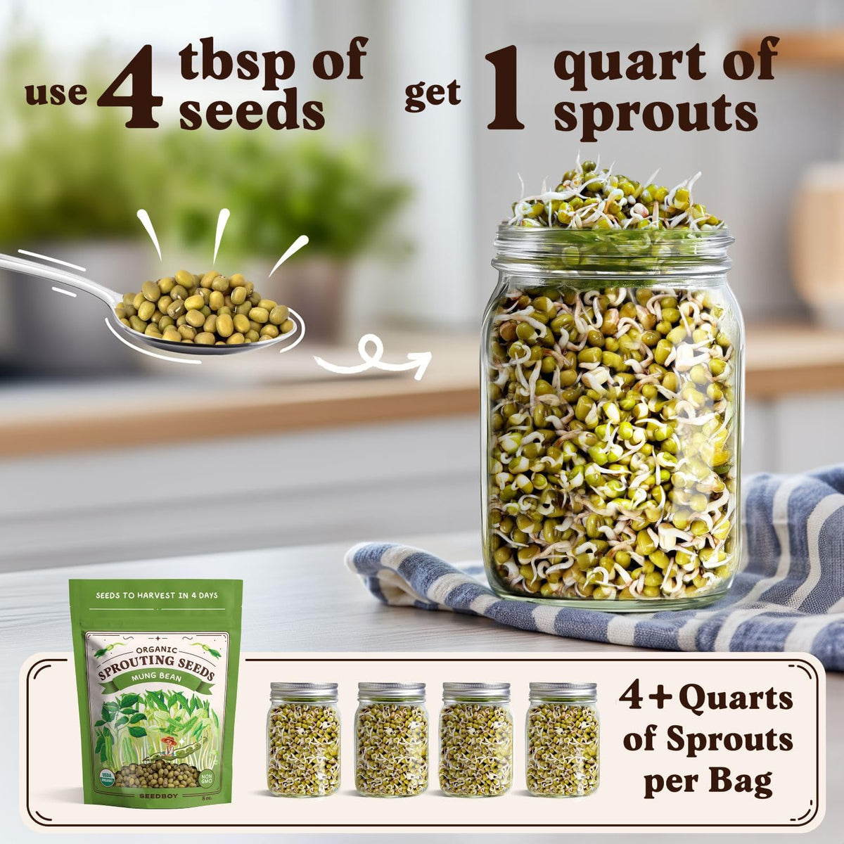 Seedboy Organic Non-GMO Mung Bean Seeds for Sprouting - Microgreens Sprouting Seeds - 8 oz Bag