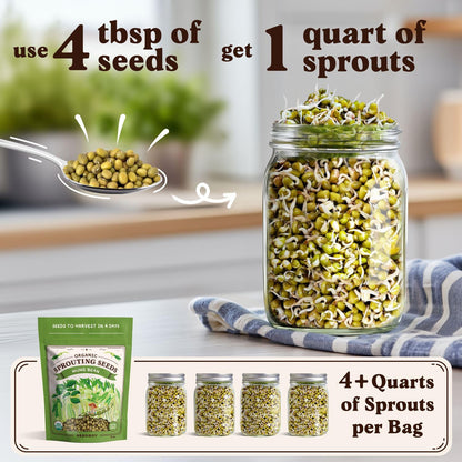 Seedboy Organic Non-GMO Mung Bean Seeds for Sprouting - Microgreens Sprouting Seeds - 8 oz Bag
