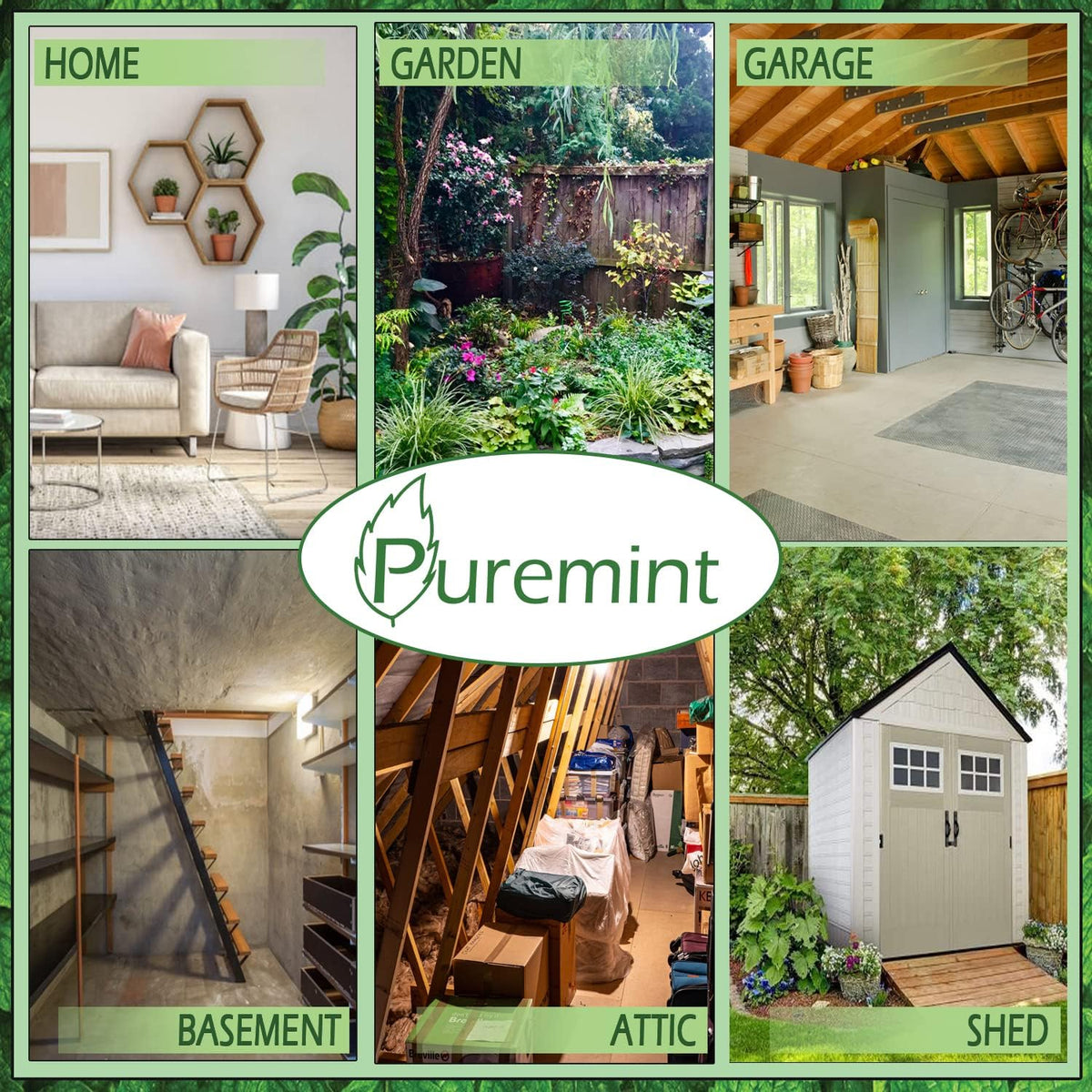 Puremint Spider Repellent, Natural 5% Peppermint Oil Spray, Kills & Deters All Types of Spiders and