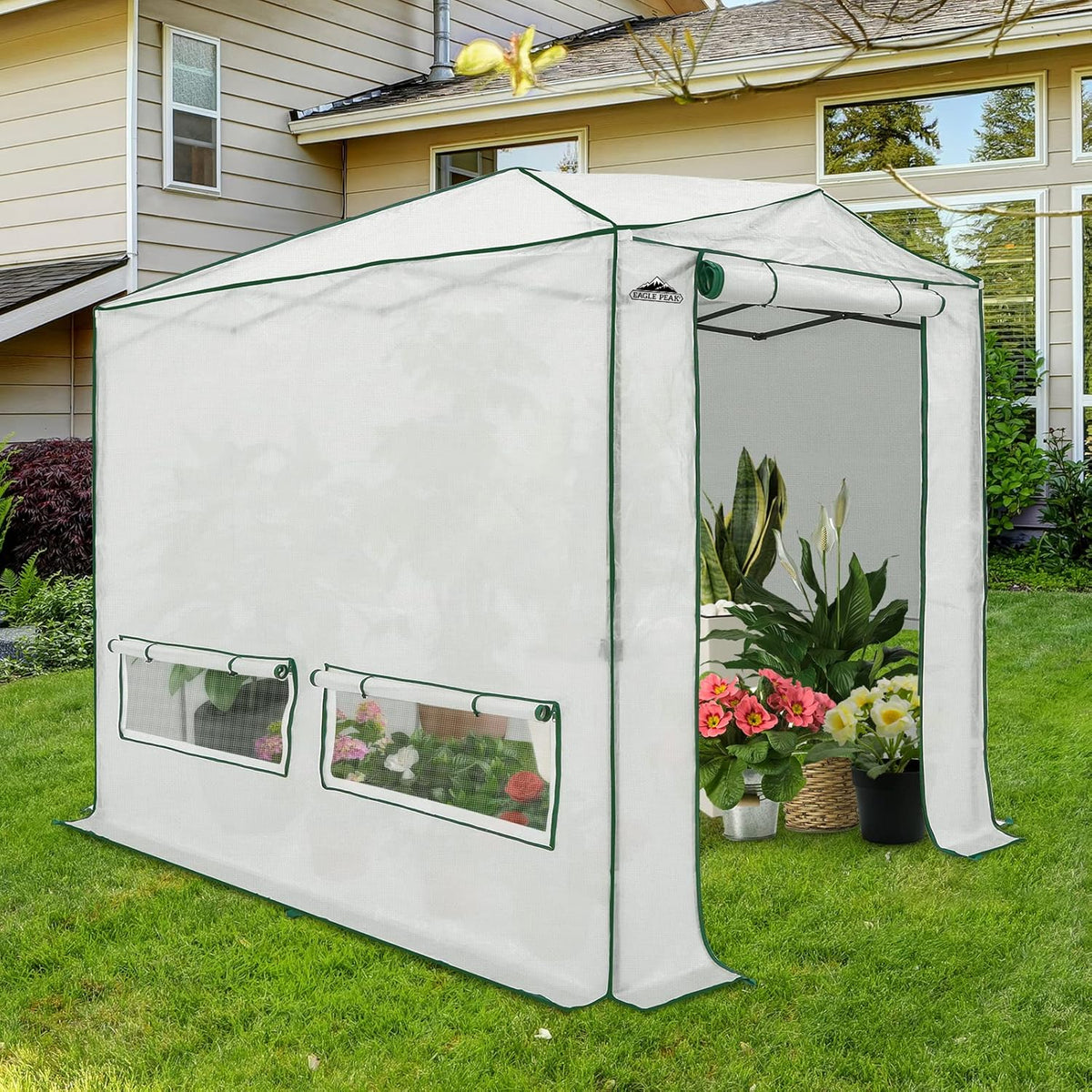 EAGLE PEAK Instant Pop-up Greenhouse, Indoor Outdoor Plant Gardening Green House, Roll-Up Zipper