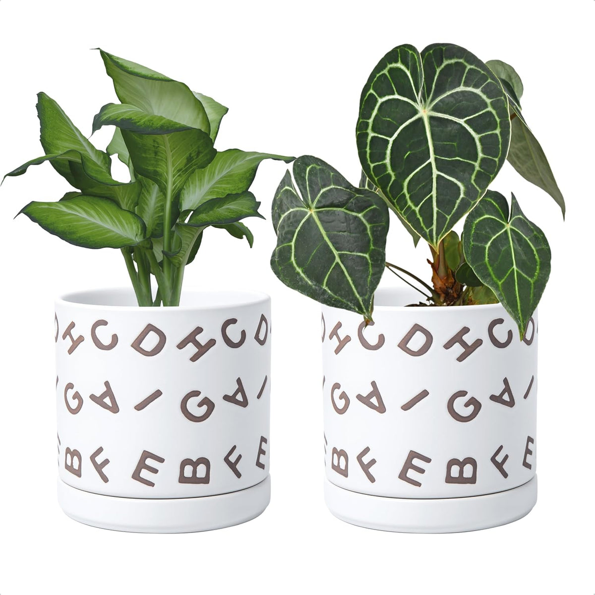 D'vine Dev Set of 2 Ceramic Planter Pots with Drainage Hole and Saucer, 6 Inch Plant Pots for