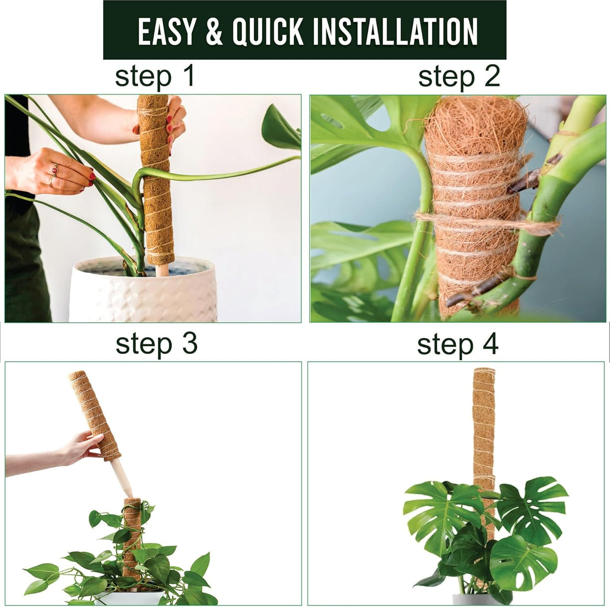 Moss Pole Pack of 4 – 50CM Monstera Plant Support | Natural Coco Coir Plant Poles for Indoor Plants
