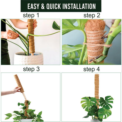 Moss Pole Pack of 4 – 50CM Monstera Plant Support | Natural Coco Coir Plant Poles for Indoor Plants