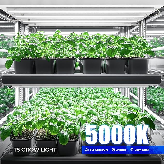 Barrina T5 Grow Lights for Indoor Plants, 3FT 128W (8 X 16W) Full Spectrum Grow Light with Separate