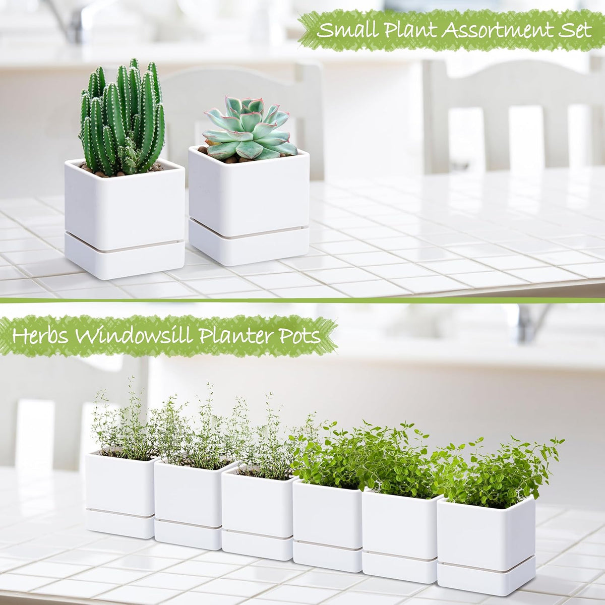 4 Inch Herb Planter Pot, Plastic Planter with Drainage Holes and Saucer, Modern Decorative
