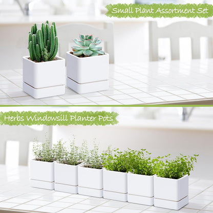4 Inch Herb Planter Pot, Plastic Planter with Drainage Holes and Saucer, Modern Decorative