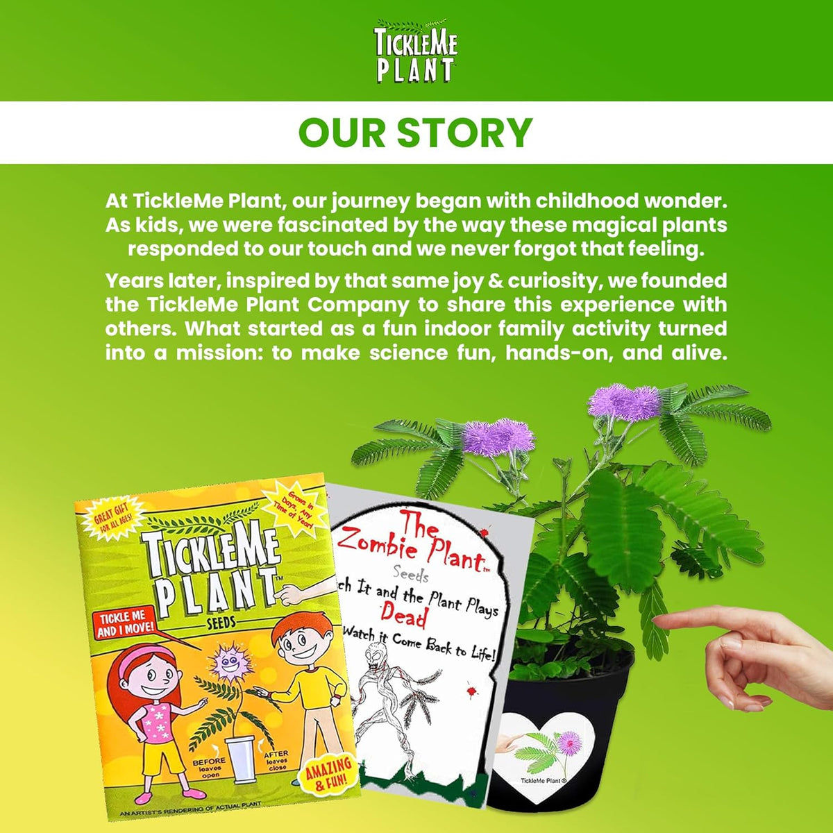 Zombie Plant Seed Packets – Grow a Live Sensitive Plant That Plays Dead When Touched! Indoor Plant