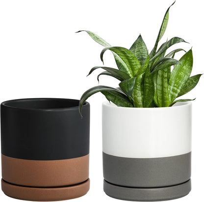 D'vine Dev Set of 2 Plants Pots, 6 Inch Ceramic Planter Pot for Plants with Drainage Hole and