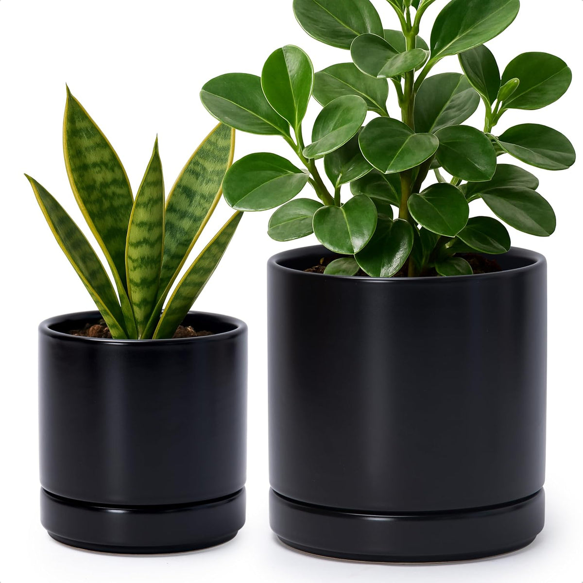 D'vine Dev 4.7 Inch & 6.5 Inch Ceramic Planter Pots for Plants with Drainage Hole and Saucer, Small