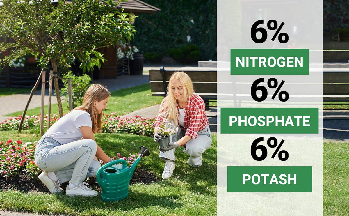 6-6-6 All-Purpose Professional Plant Food Fertilizer; Ideal for Winter Care & Spring Feeding
