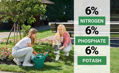 6-6-6 All-Purpose Professional Plant Food Fertilizer; Ideal for Winter Care & Spring Feeding