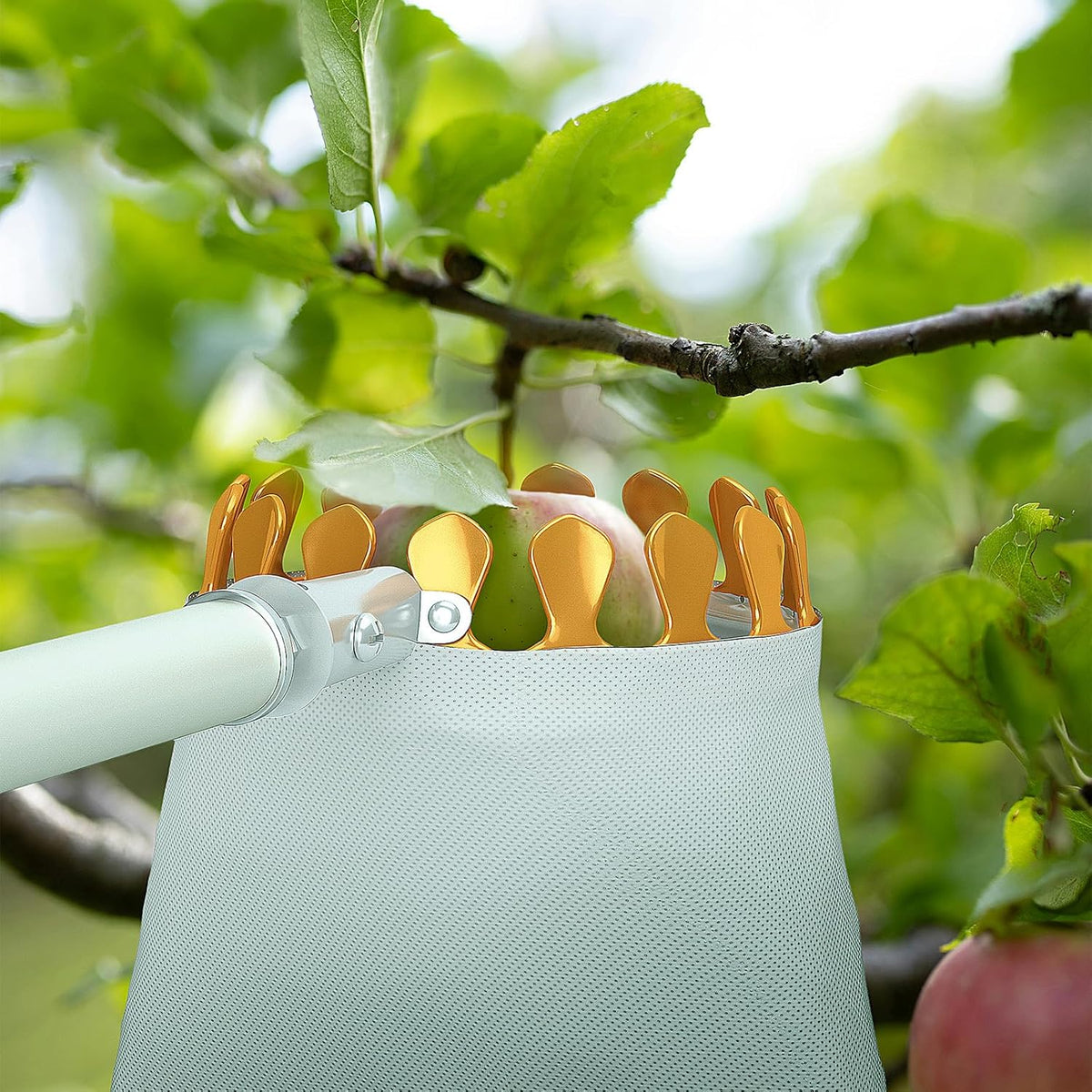 Fruit Picker Tool with 6-Part Extension Pole and Cloth Bag for Gentle Fruit Catching（8FT）