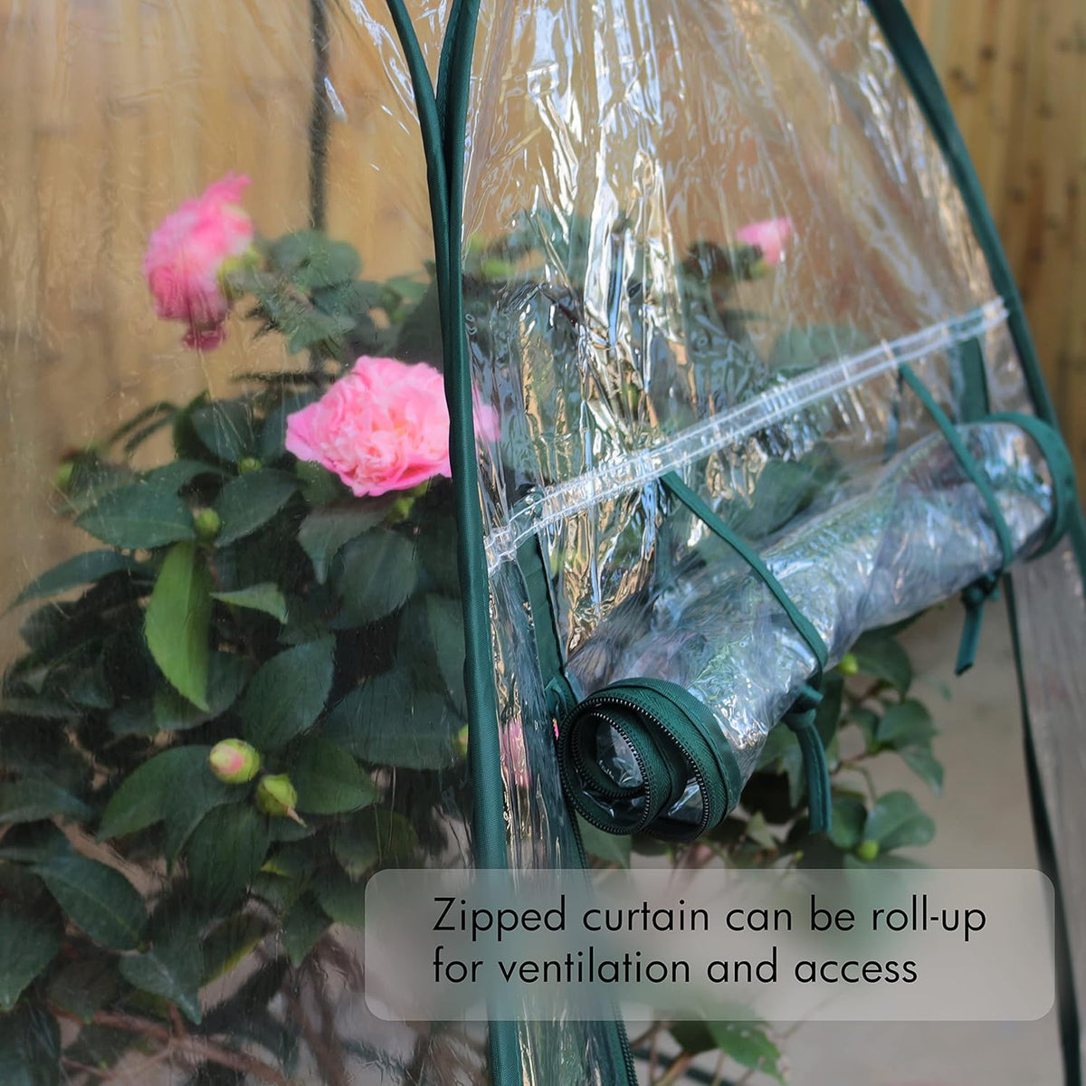 Gardzen 27"x27"x31" Pop up Grow Greenhouse Small Greenhouse, Portable Plant Flowers Mini Green