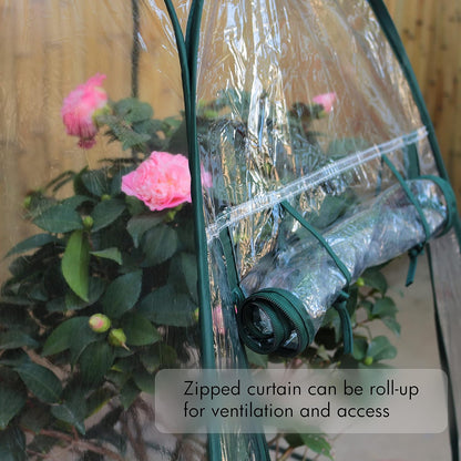 Gardzen 27"x27"x31" Pop up Grow Greenhouse Small Greenhouse, Portable Plant Flowers Mini Green
