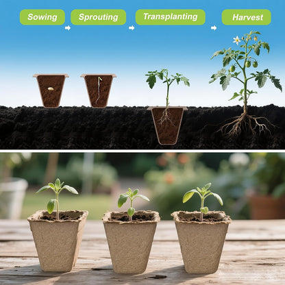 200 Cells Peat Pots, Seed Starter Trays Planting Trays for Seedlings, 20 Pack Germination Trays