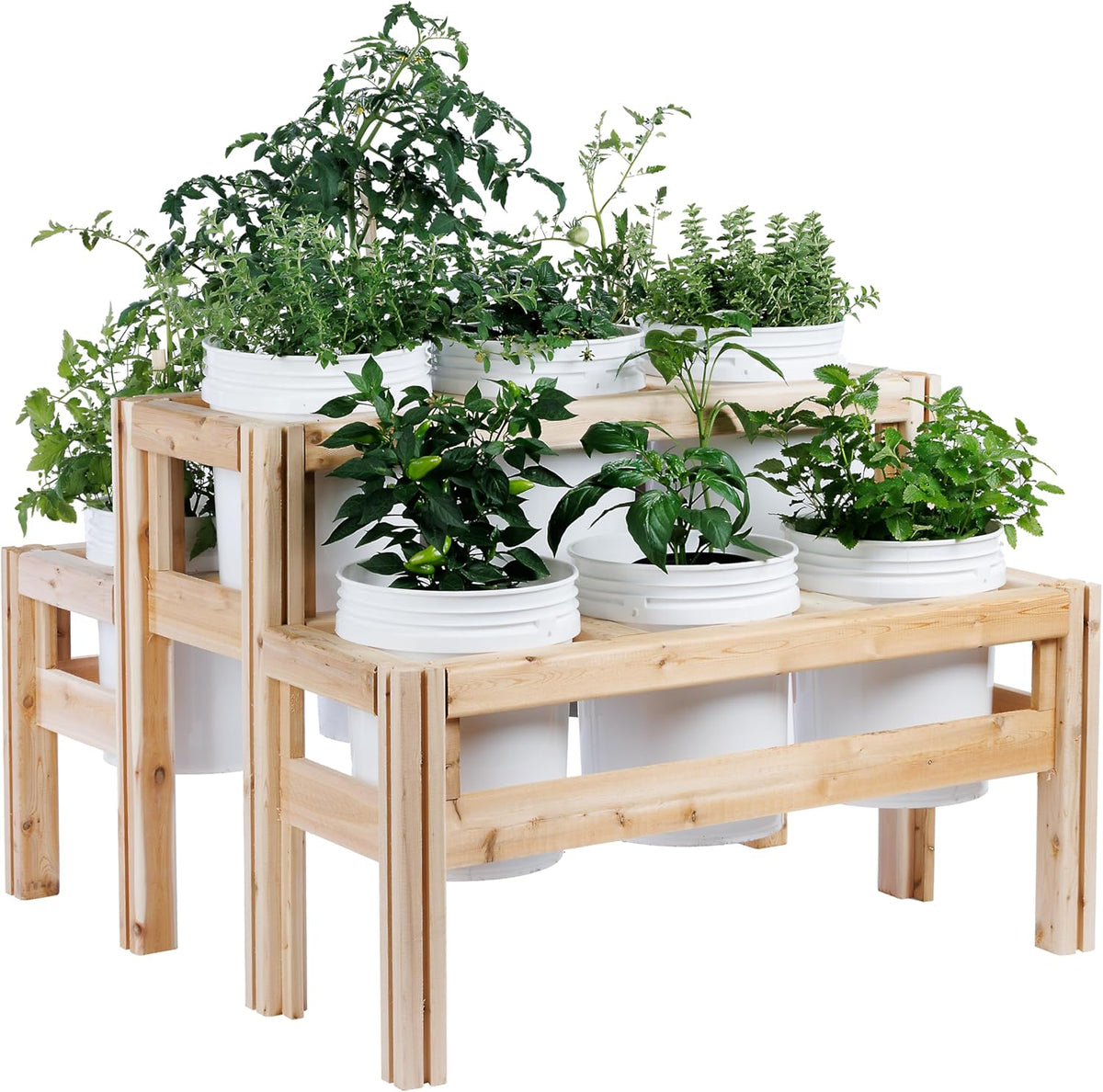 Greenes Fence Two-Tiers Nine Bucket Elevated Cedar Wood Garden Frame, 43 in. x 43 in. x 30 in.