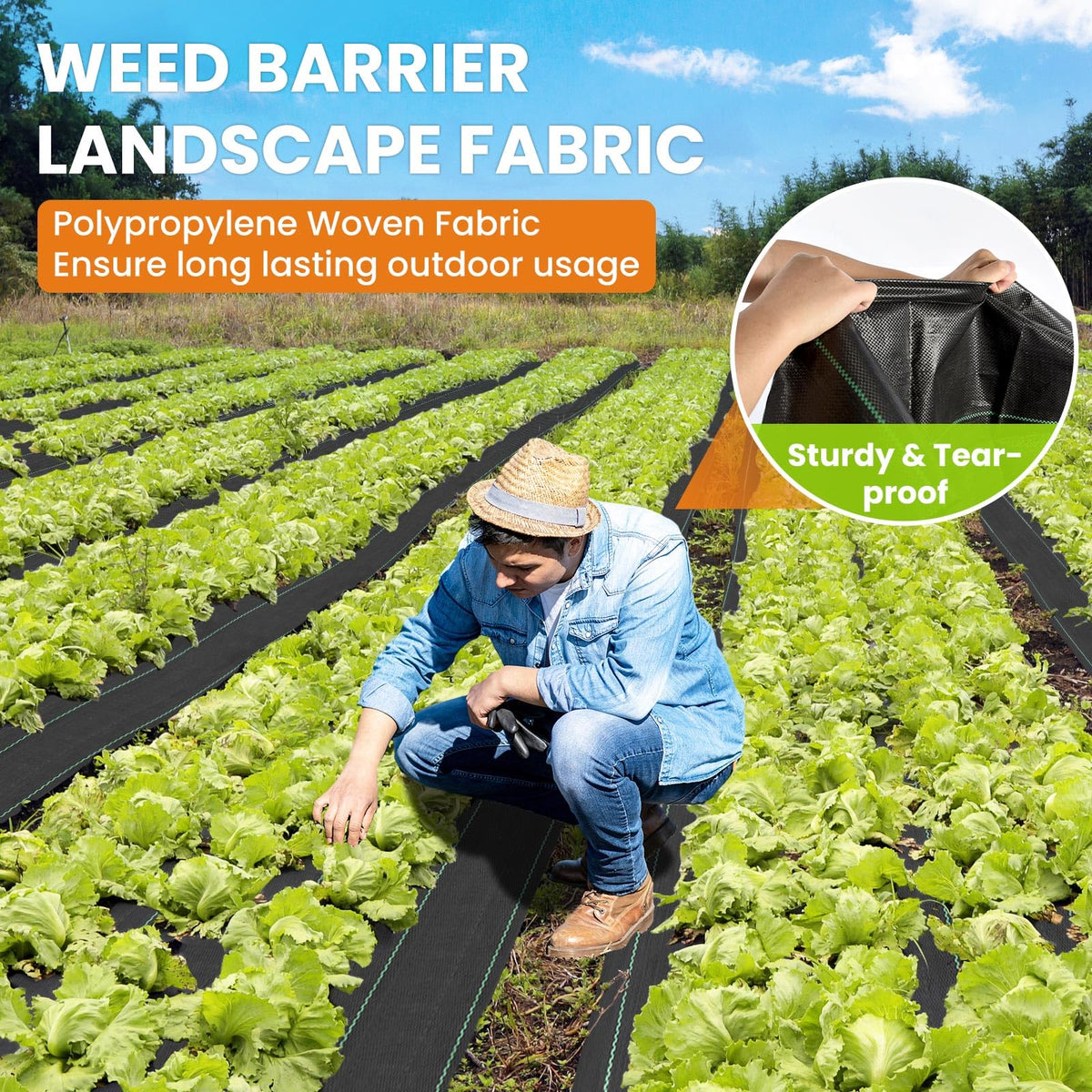 6x300FT Weed Barrier Landscape Fabric Heavy Duty, 3.2oz Woven Weed Fabric