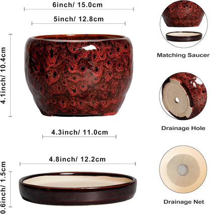 SQOWL Ceramic Pot for Plants - 6 Inch Plant Pot Indoor with Drainage Hole and Saucer, Decorative