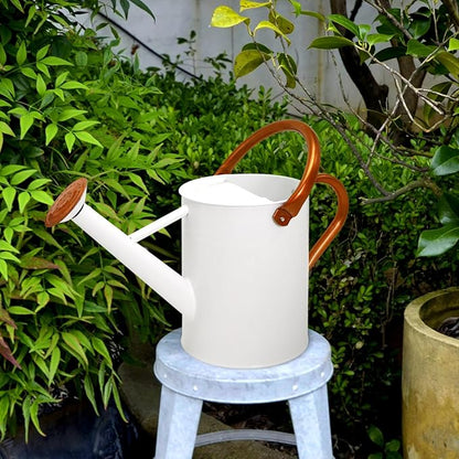Metal Watering Can with Removable Spout, Galvanized Watering Can, Perfect for Indoor Use and for