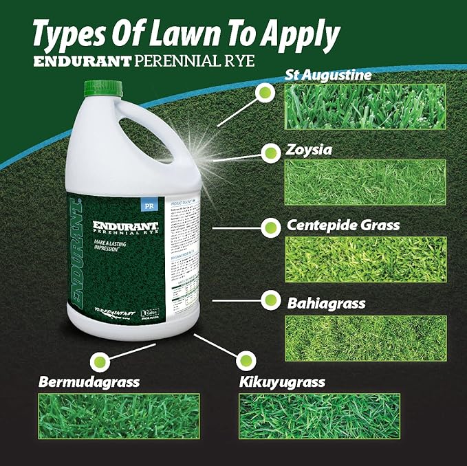 Endurant Turf Colorants - Perennial Rye Spray Green Grass Paint for Lawns - Revives Dry, Patchy