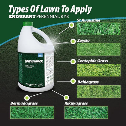 Endurant Turf Colorants - Perennial Rye Spray Green Grass Paint for Lawns - Revives Dry, Patchy