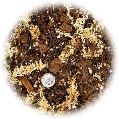 Gardenera Premium Orchid Mix by GARDENERA - 20 Quart - Fern + New Zealand Pine Bark + Sphagnum Moss