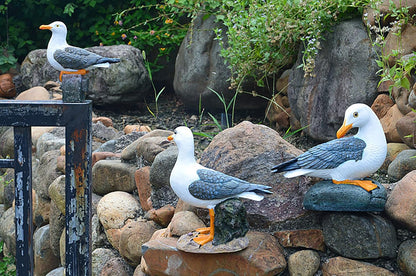Real Seagull Outdoor Sculpture,Garden Funny Bird Statue,Beach Statue,Resin Animal Seabird