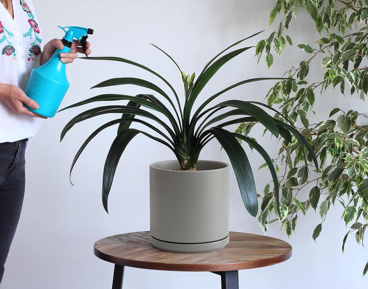 D'vine Dev 10 Inch Ceramic Planter Pot with Drainage Hole and Saucer, Indoor Cylinder Round Planter