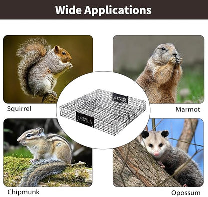 Squirrel Trap,Humane Catch and Release,Can Catch Multiple Squirrels or Chipmunks at Once