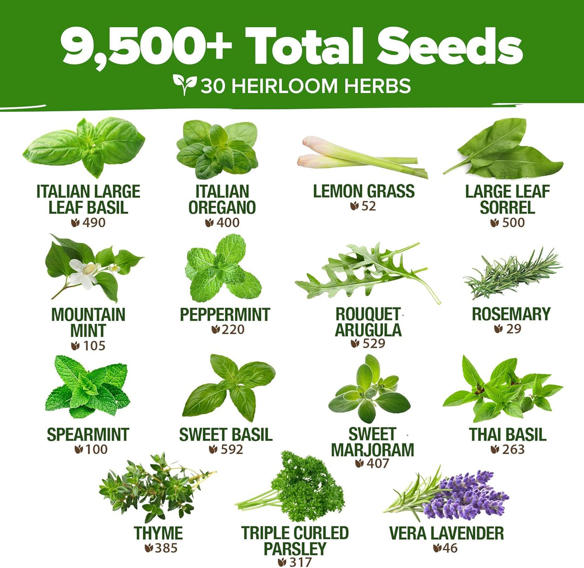 HOME GROWN 30 Herb Seeds for Planting 9,500+ Non-GMO Heirloom Seeds | Extra Large Variety Pack Herb