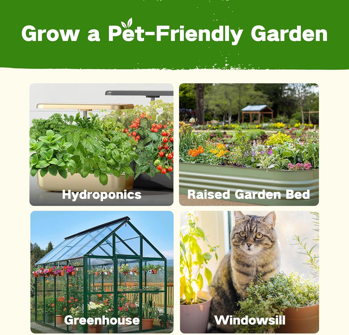 Lush&Dew Pet-Friendly Heirloom Seed Bank, Gardening Gifts for Women Men, 16 Varieties 15,000+