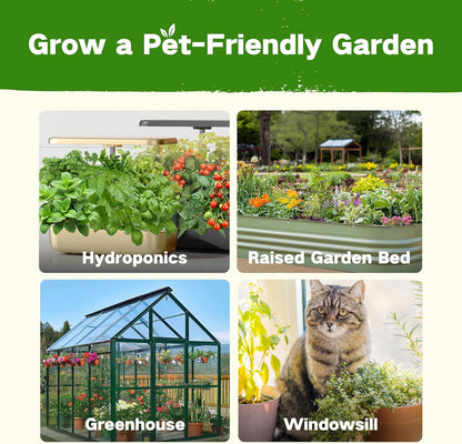 Lush&Dew Pet-Friendly Heirloom Seed Bank, Gardening Gifts for Women Men, 16 Varieties 15,000+
