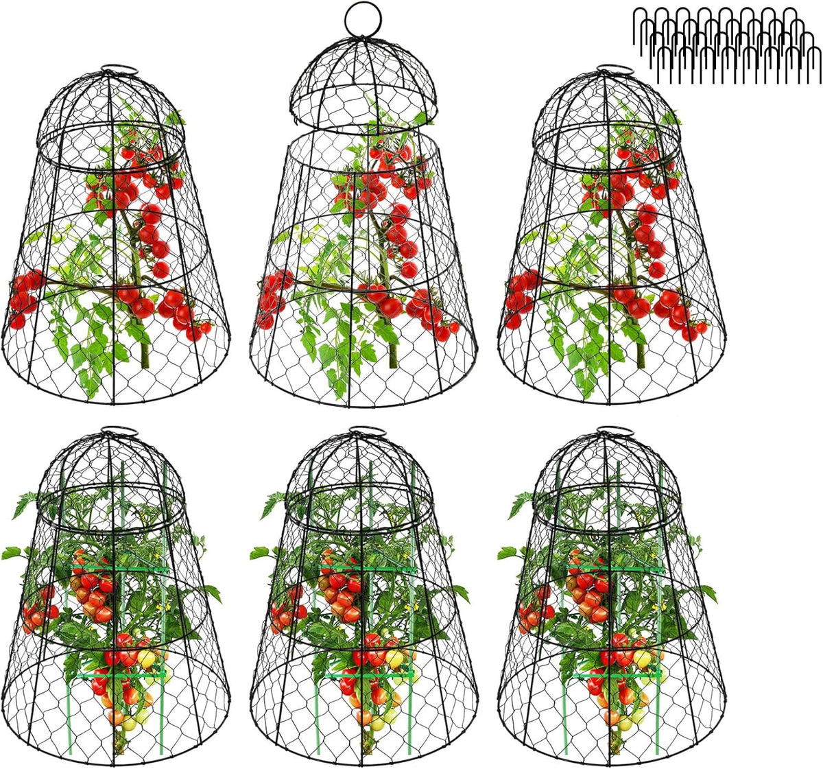 Garden Cloches for Plants - Set of 6 Chicken Wire Plant Cages and Plant Protectors from Animals