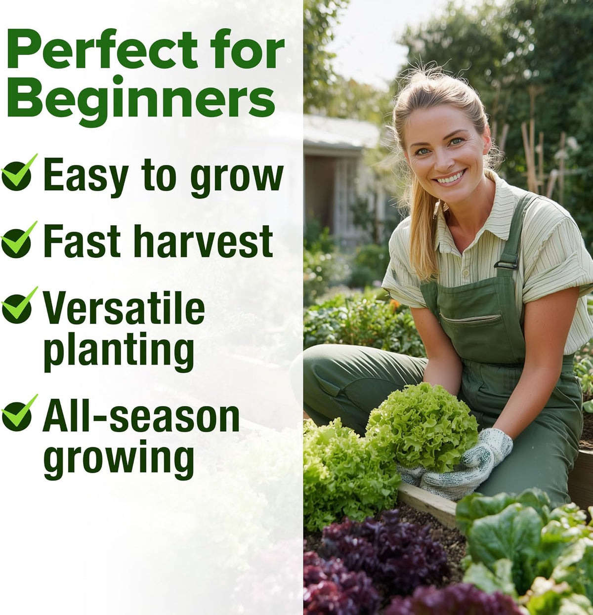 HOME GROWN 11,500+ Heirloom Lettuce Seeds - 10 Varieties Including Romaine, Buttercrunch, Iceberg