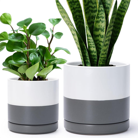 D'vine Dev 6.5 Inch & 8.2 Inch Ceramic Planter Pots for Plants with Drainage Hole and Saucer