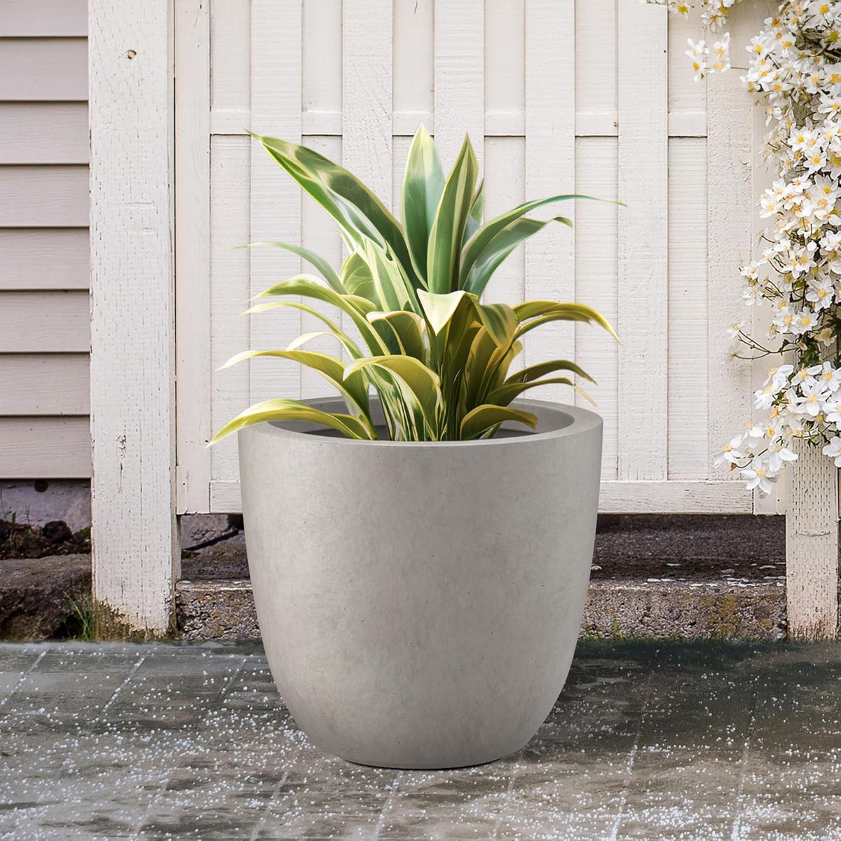 Kante 14 Inch Dia Round Concrete Planter, Indoor Outdoor Large Plant Pot with Drainage Hole and
