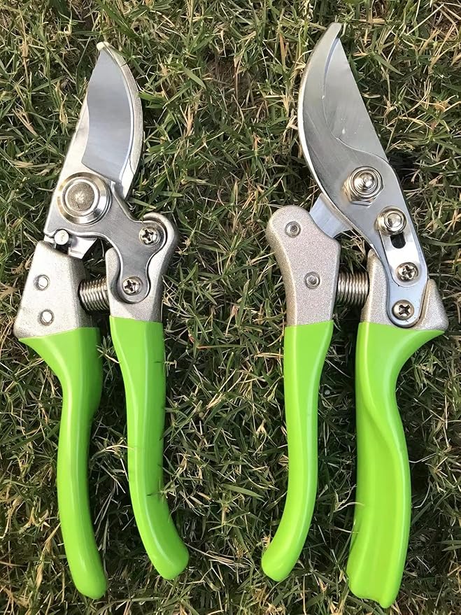 Garden Shears, Japanese Pruning Shears for Heavy Duty, Flowers Herbs Grapes Plant and Branch