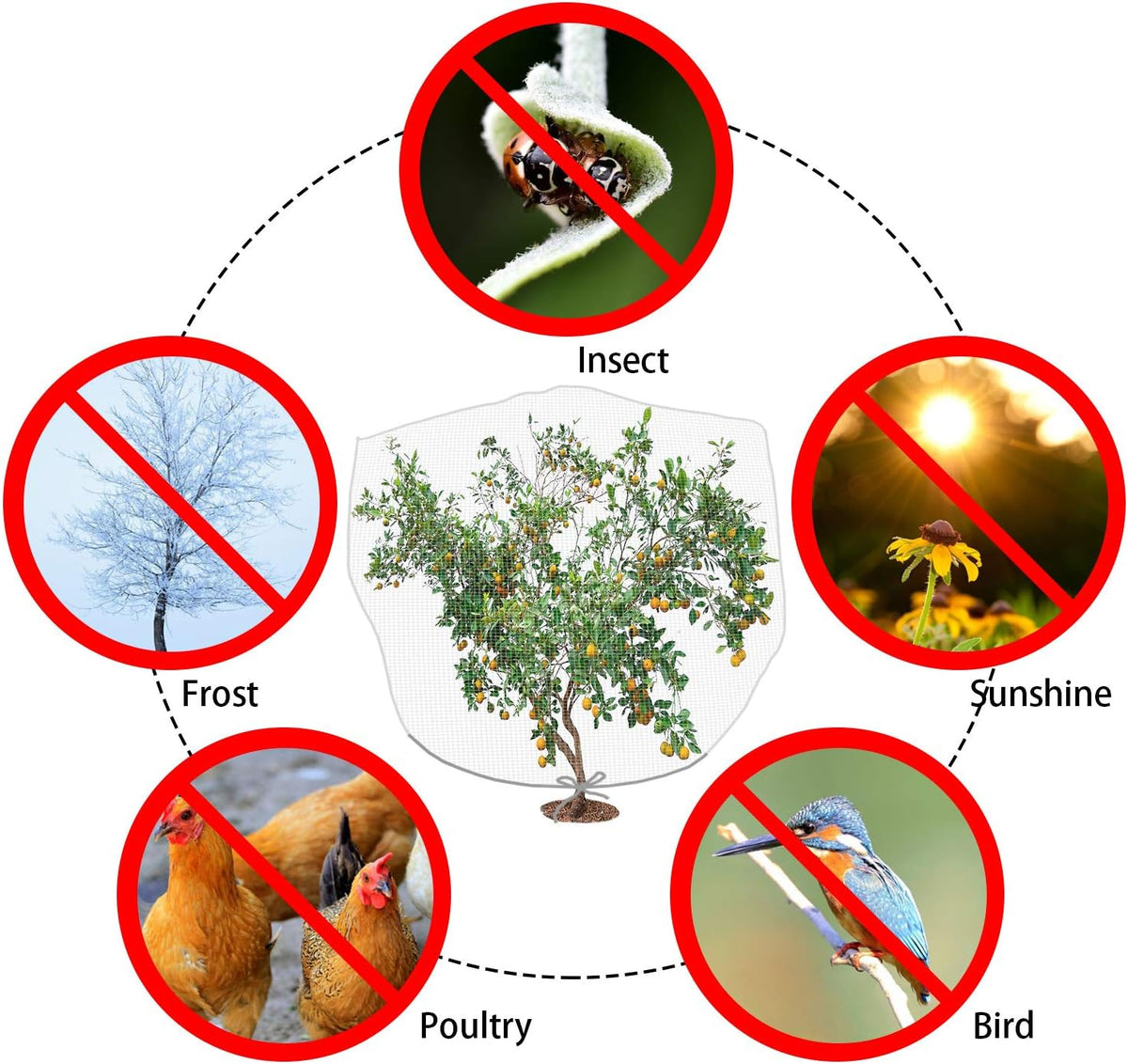 8.2 x 6.5 Feet Large Fruit Tree Netting, Insect Bird Barrier Tree Net with Drawstring, Garden Bird