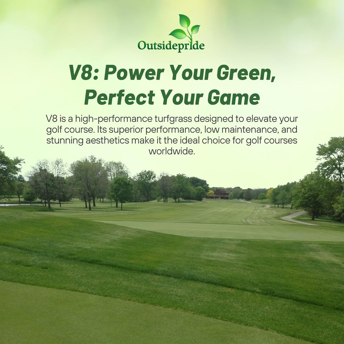 Outsidepride V8 Creeping Bentgrass Seed - 5 lbs. Fine-Bladed, Premium Quality Turf, Grass Seeds for