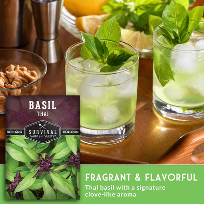 Survival Garden Seeds - Thai Basil Seed for Planting - 5 Packets with Instructions to Plant and