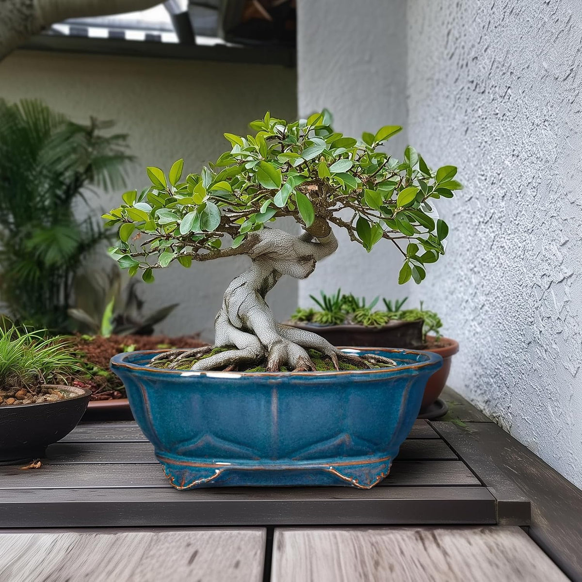 Bonsai Pots - 13.2 Inch Oval Ceramic Pots for Plants, Large Succulent Planter with Drainage Hole